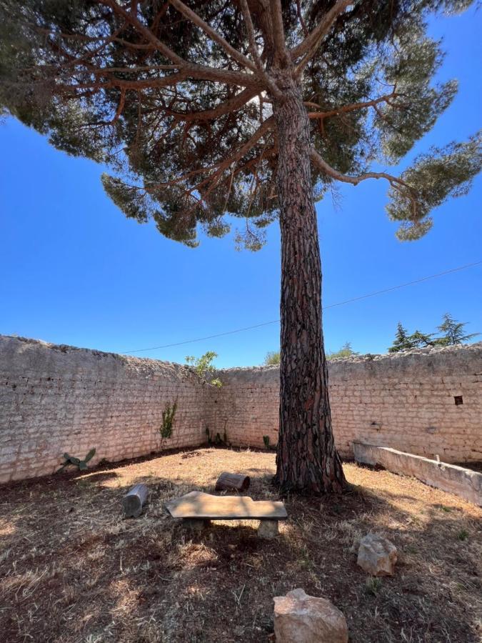 Ferienwohnung Masseria Concorrano Castellana Grotte Exterior foto